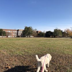 Robert Strange Park - Large Open Space