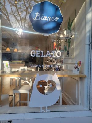 Bianco Gelato Coconut Grove by null