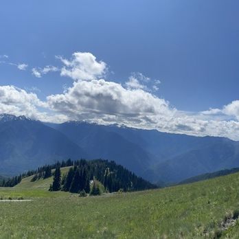 Olympic National Park - Pano of hurricane hill trail. SO stunning on both the drive, and the walk up - Parks Near Me - Port Angeles, Washington