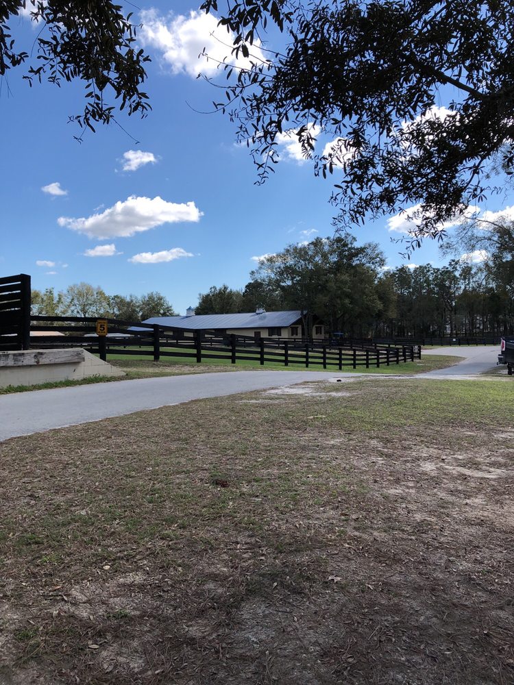 PETERSON & SMITH EQUINE HOSPITAL, LLC Updated September 2024 4747