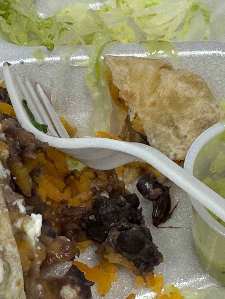 Deli Taqueria Xochitlalli