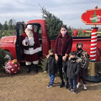 Santas Christmas Tree Farm - Ho Ho Ho ! Santa and his truck ! - Christmas Trees Near Me - Cutchogue, New York