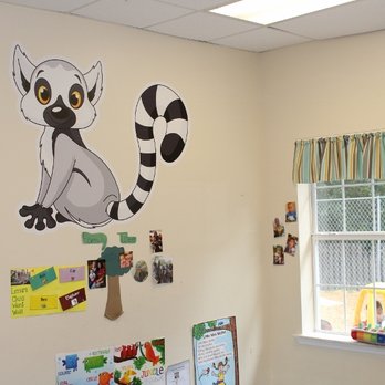 The Discovery Tree Academy - Preschools Near Me - Jacksonville, Florida The Discovery Tree Academy - Preschools Near Me - Jacksonville, Florida