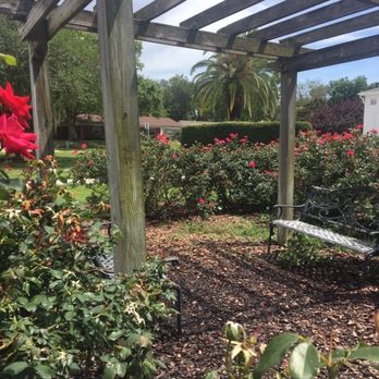 Newton Park - Parks Near Me - Winter Garden, Florida