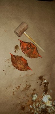 Jac's Crabs & Seafood by null