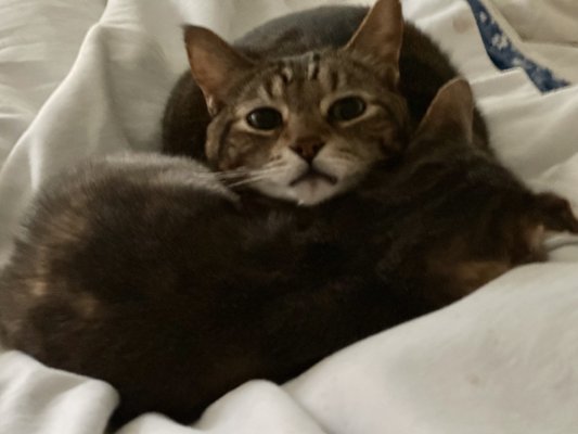 Two Rivers Veterinary Clinic