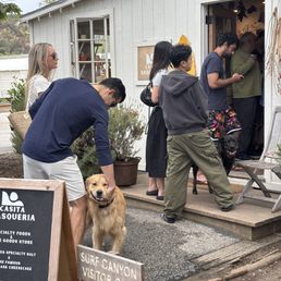 Atleast there were a lot of cute doggos while we waited in line. Atleast there were a lot of cute doggos while we waited in line.
