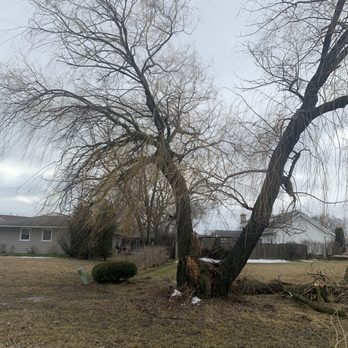Great View Tree Service - Tree Services Near Me