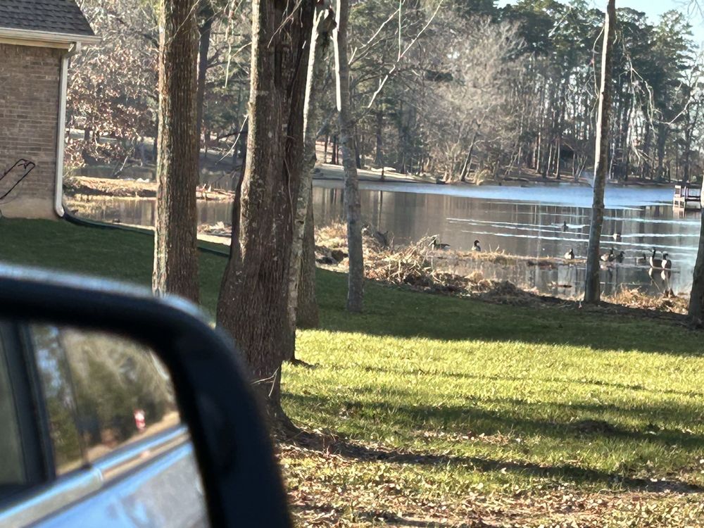 Pic-N-Pay Texas Style Cookin’