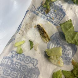 Port of Subs - Wasp found in my sandwich