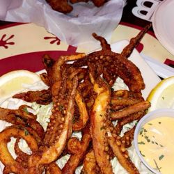 Fried Calamari..with dipping sauce..