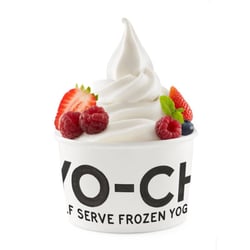Yo-Chi Frozen Yogurt