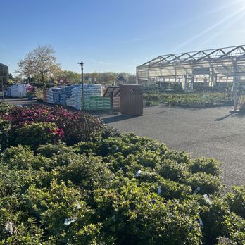 Merrifield Garden Center - Azaleas and the perennial greenhouse - Nurseries & Gardening Near Me - Gainesville, Virginia