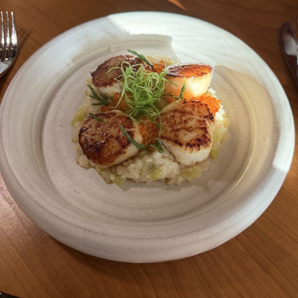 Mei - Scallop - Asian Fusion Near Me - St. Petersburg, Florida Mei - Scallop - Asian Fusion Near Me - St. Petersburg, Florida