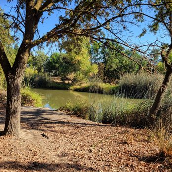 Del Meyer Park - Parks Near Me - Elk Grove, California Del Meyer Park - Parks Near Me - Elk Grove, California