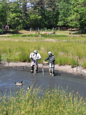 Cranberry Bog Tours by null