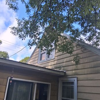 DeadorAlive - tree hovering over roof - Tree Services Near Me - Syracuse, New York DeadorAlive - tree hovering over roof - Tree Services Near Me - Syracuse, New York