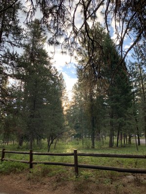 Ponderosa State Park by null