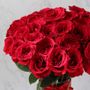 Photo of Florboxoxo
