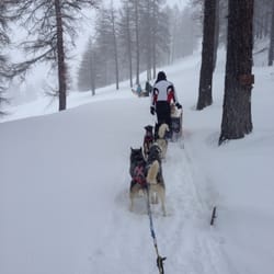 Centro Sleddog Sestriere