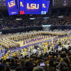 Tiger Stadium