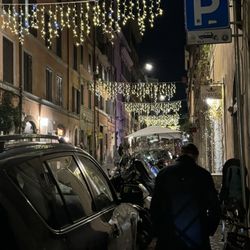 Gorgeous street lit up for Christmas.