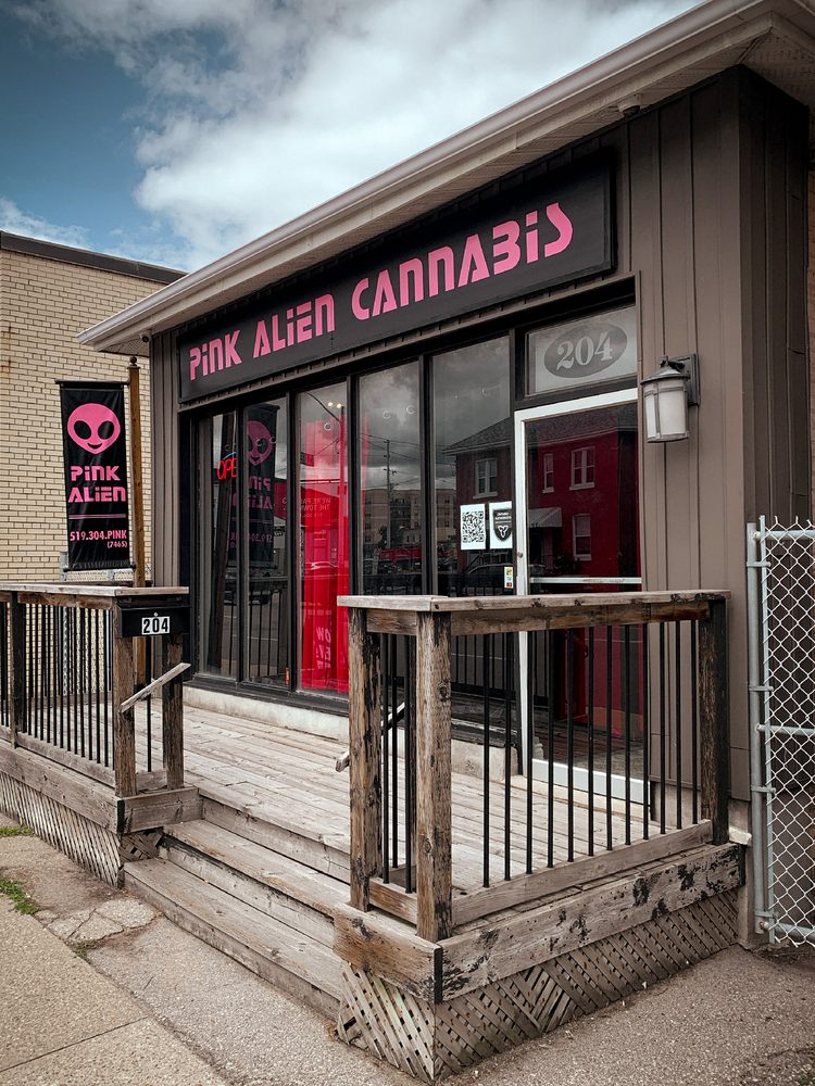 PINK ALIEN CANNABIS Updated September 2024 204 Dalhousie Street