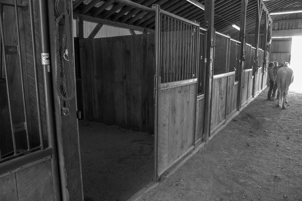 Smith Stables - equestrian in Rockwell, NC