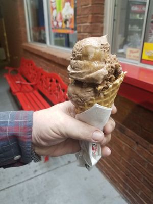 turtle brusters