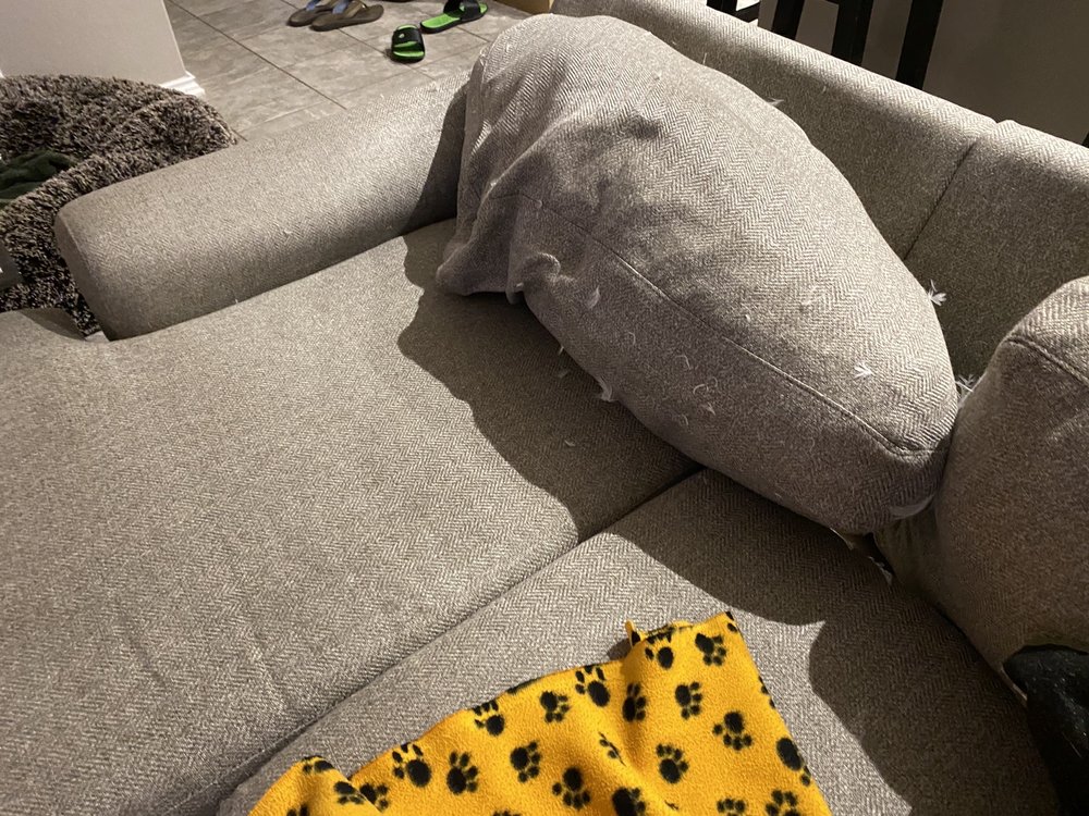 BASSETT FURNITURE 19 Photos 14675 Interstate 35 N, Selma, Texas