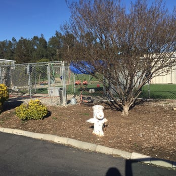 Alan's Canine Training and Kennels - Parking area in front on kenneled play area - Pet Training Near Me - Vacaville, California