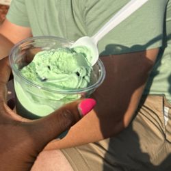 Captain Sundae - Small mint chip ice cream