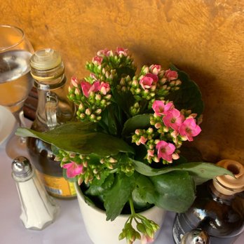 Il Pastaio - Italian Near Me - Beverly Hills, California