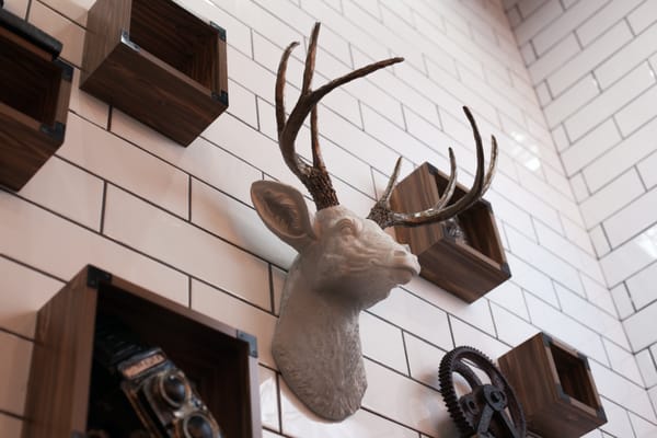 Cauldron Ice Cream by null