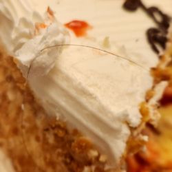 Florentine Pastry Shop - 2 longish black hairs intertwined in the layers