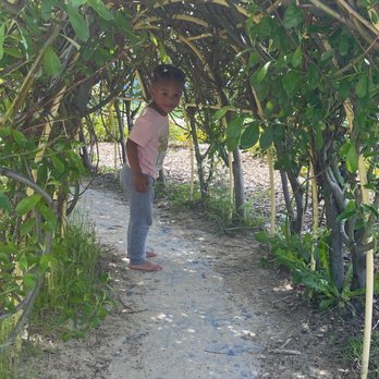 Luuwit View Park - Cute bush tunnel. - Parks Near Me - Portland, Oregon