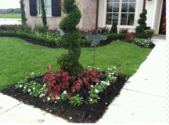 Transform your outdoor space - Get Your Project Off The Ground With Leo Carias services. Text us today and book your free consultation