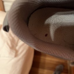 Yankton / Missouri River KOA - Bed bugs