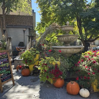 Ms Marji’s - October decorations - Coffee & Tea Near Me - Denver, Colorado