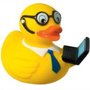 Photo of Pest Duck