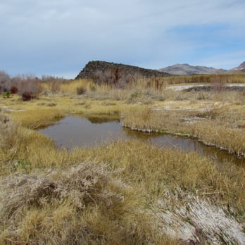 Shoshone Wetlands Hiking Trail - Hiking Near Me - Shoshone, California Shoshone Wetlands Hiking Trail - Hiking Near Me - Shoshone, California