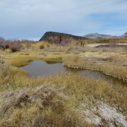 Shoshone Wetlands Hiking Trail