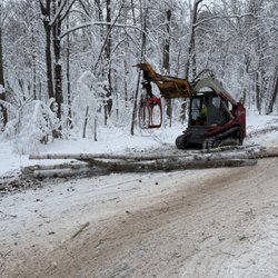 Quality Tree Service - Heavy Winter storm clean up Moose Lake Road Hayward