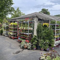 The annuals