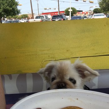 Twisted Root Burger - They offer outdoor dining so you can enjoy your burger with your best friend! - Burgers Near Me - Bedford, Texas