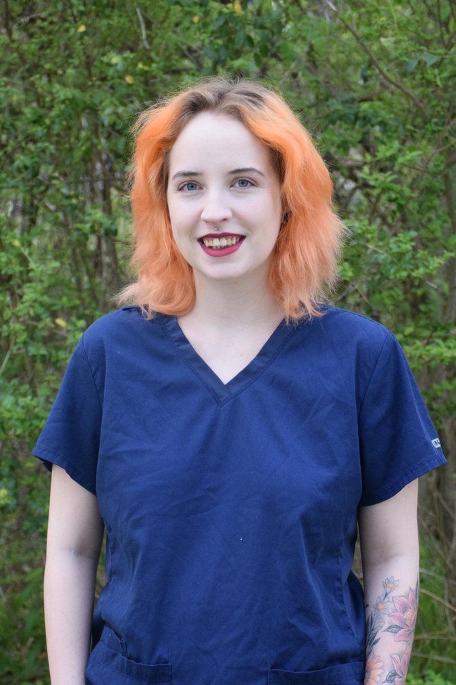 Halcyon Veterinary Hospital