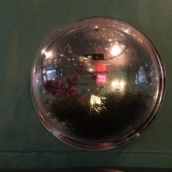 Clara'S - WALL TERRARIUMS .... SO GREEN! - Sports Bars Near Me - Brooklyn, New York Clara'S - WALL TERRARIUMS .... SO GREEN! - Sports Bars Near Me - Brooklyn, New York