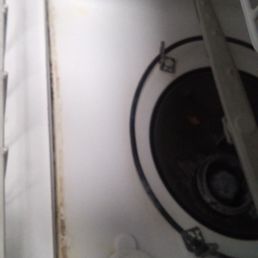 Mold in the dishwasher upon move-in Mold in the dishwasher upon move-in