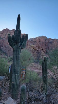 Echo Canyon Trailhead by null