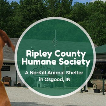 Ripley County Humane Society - Animal Shelters Near Me - Osgood, Indiana Ripley County Humane Society - Animal Shelters Near Me - Osgood, Indiana